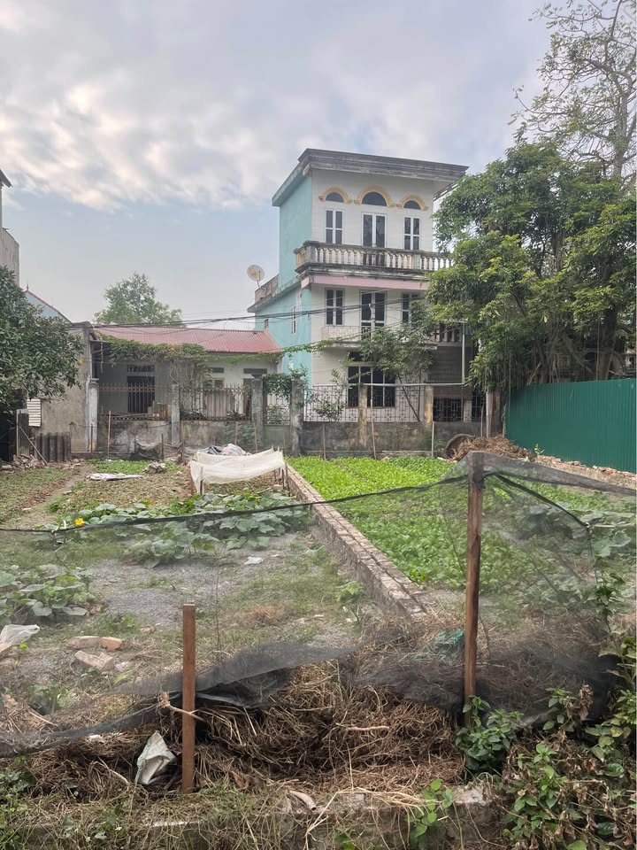 Lô Đất 2 Mặt Tiền Tại Thôn Thượng, Phú Xuyên - Giá 2 tỷ - Đầu Tư Sinh Lời!