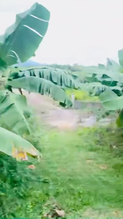 Đất thổ cư 100m² tại Quân Chu, Đại Từ, Thái Nguyên - Pháp lý rõ ràng, sẵn sàng giao dịch!