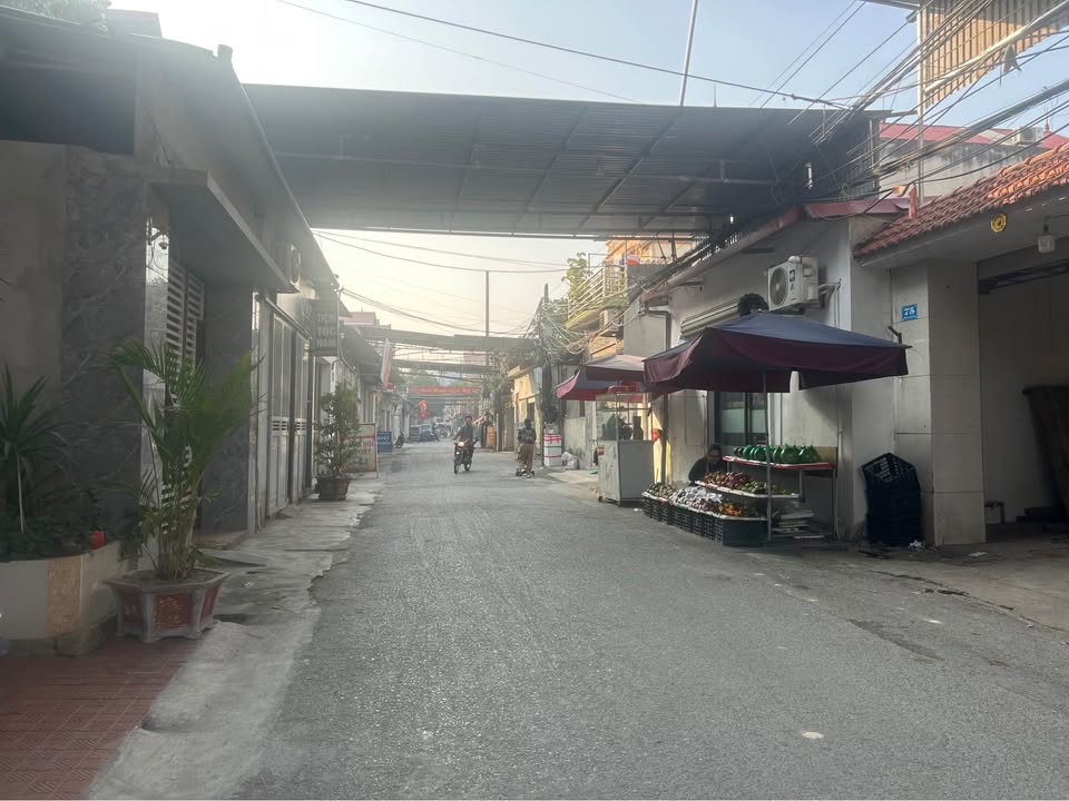 Đất nền Thái Phù - Mai Đình 110m² giá 3 tỷ - Tiềm năng tăng giá vượt bậc!