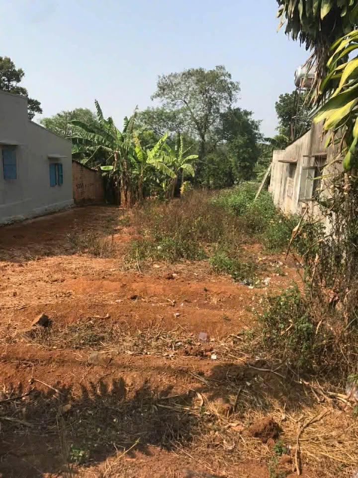 Đất nền mặt tiền đường Văn Cao, Pleiku 300m² - An cư lý tưởng!