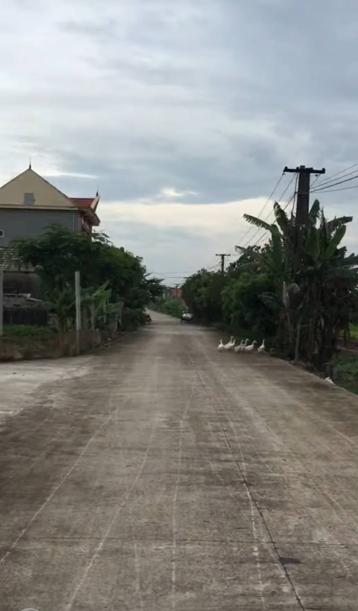 Đất nền Khánh Thủy 137,5m² giá thỏa thuận - Đầu tư sinh lời ngay!