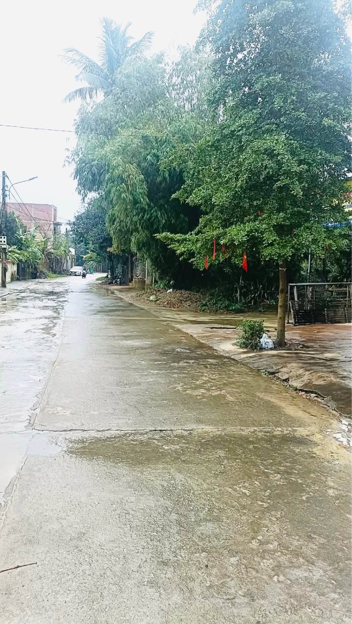 Bán đất mặt tiền Nguyễn Như Chương, phường Vỹ Dạ, TP Huế 153m² giá 3 tỷ - Đầu tư sinh lời ngay!