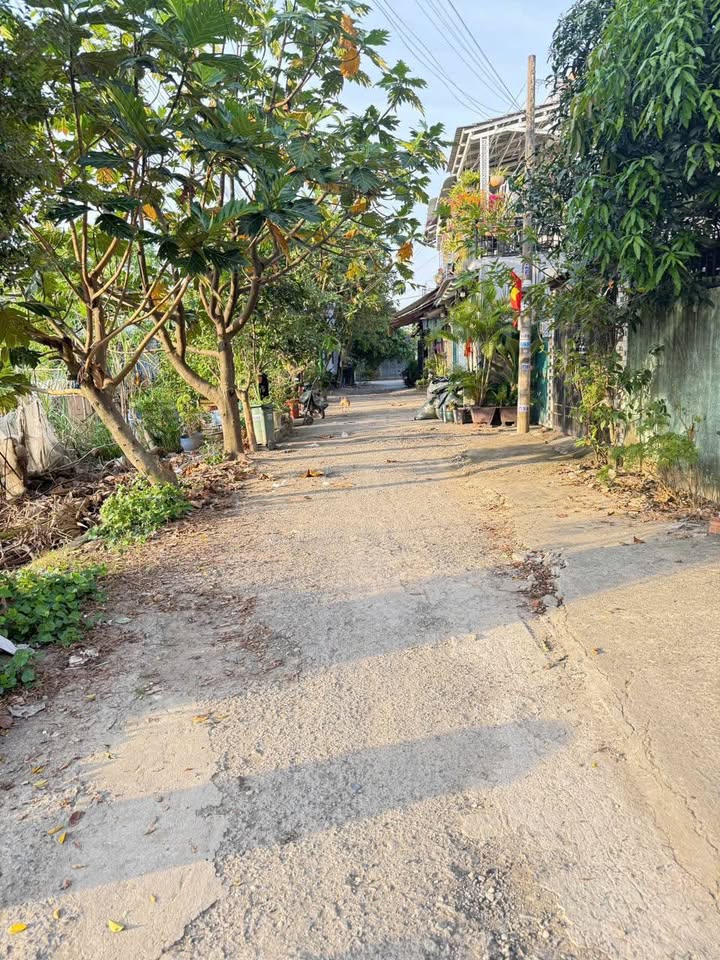 Đất nền 560m² xã Đông Thạnh, Hóc Môn chỉ 4.06 tỷ - Pháp lý rõ ràng!