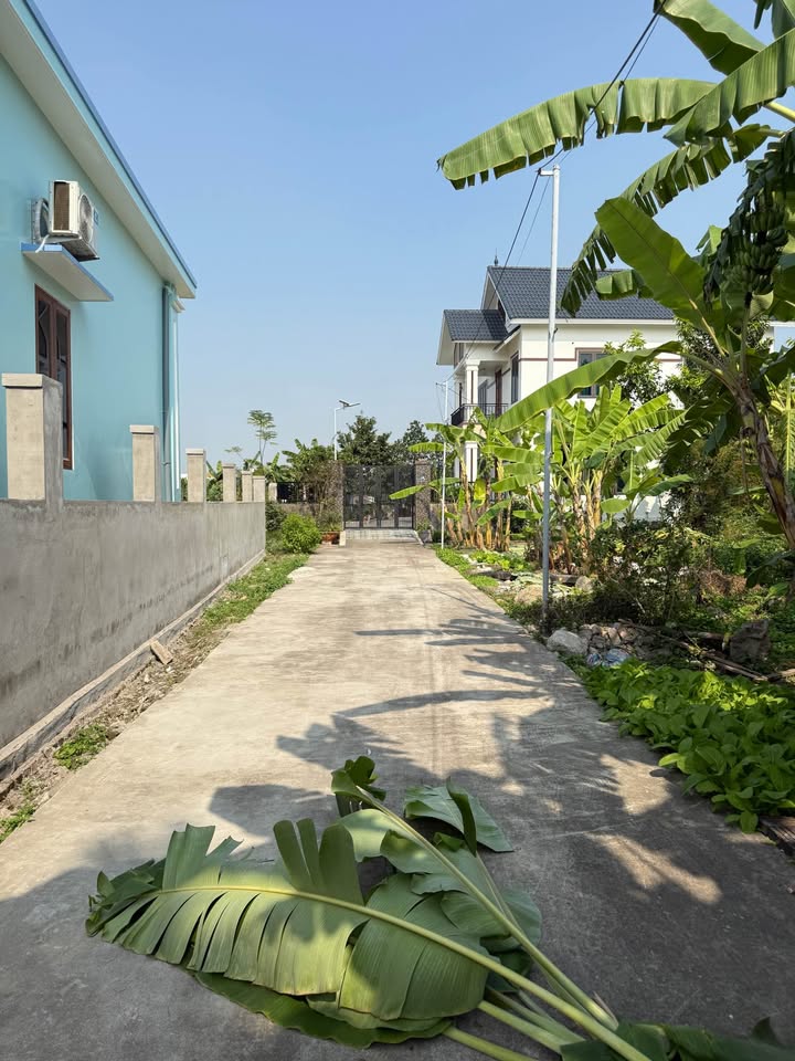 Đất thổ cư 77m² thôn 6 Bắc Sơn An Dương giá 1.4 tỷ - Sổ đỏ chính chủ!