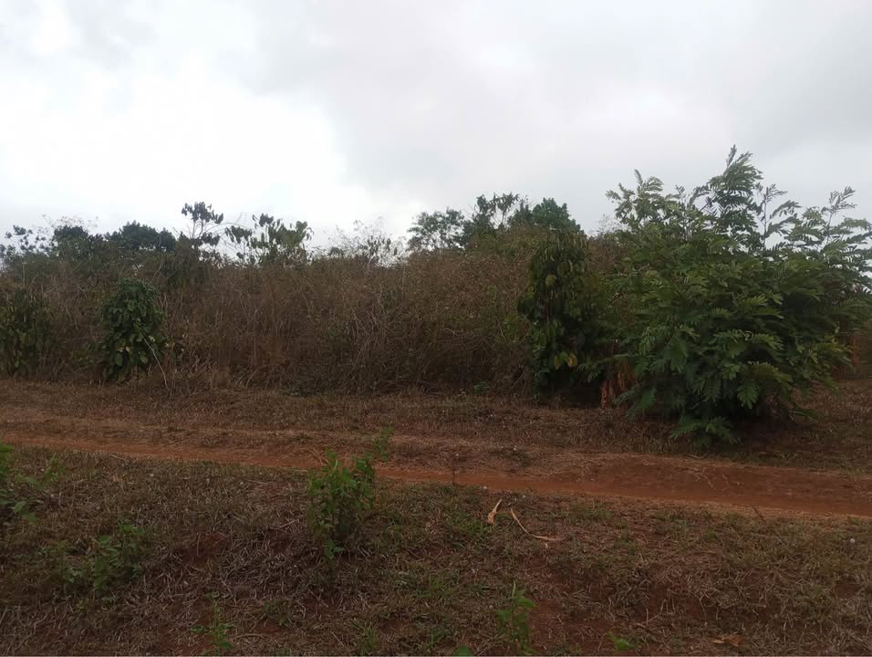 Đất nền khu vực Biển Hồ Pleiku 1000m² giá 20 tỷ - View sân bay tuyệt đẹp!