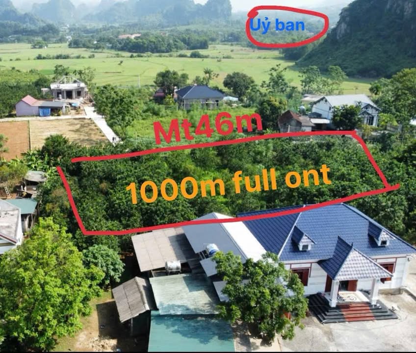 Lô đất 1000m² tại Cao Dương, Lương Sơn - Giá chỉ 4 triệu/m², cơ hội đầu tư tuyệt vời!