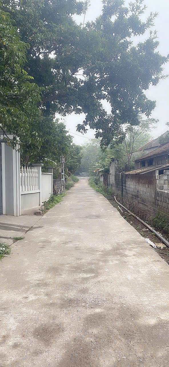 Đất nền thôn Quan Thượng, Văn Lý, Lý Nhân 103m² giá chỉ 1.1 tỷ - Đường ô tô vào tận nơi!