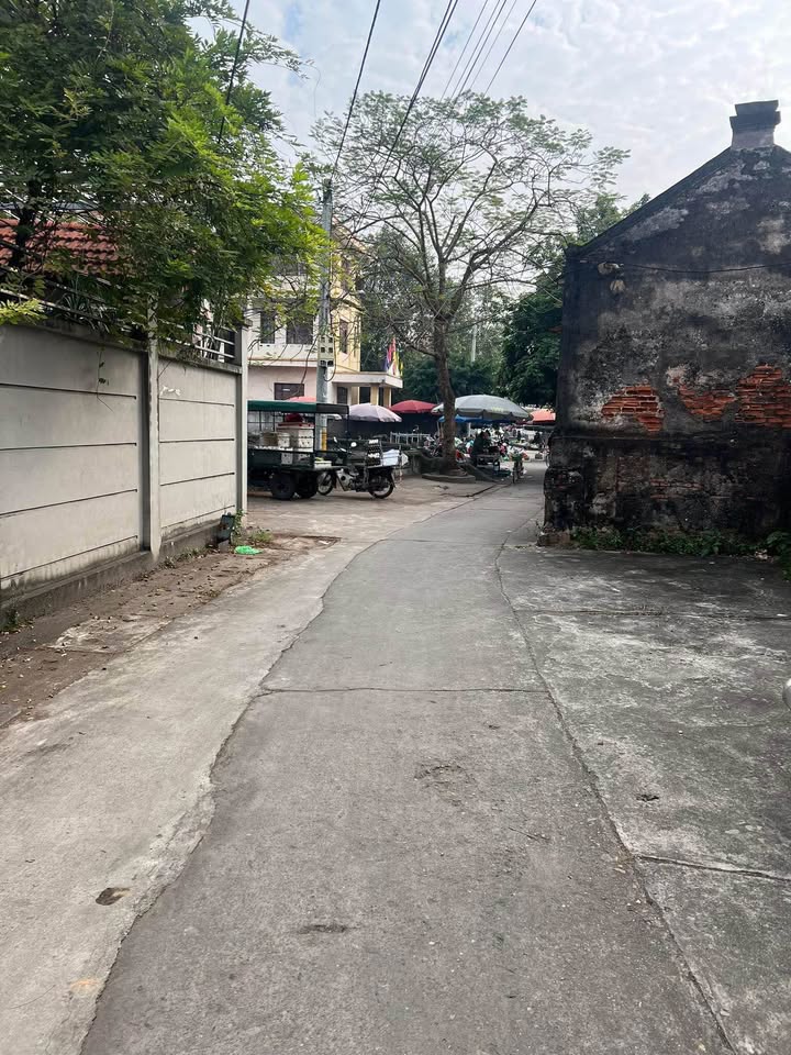 Đất nền xóm 5, xã Liên Phương, huyện Thanh Trì 99m² giá 6.375 tỷ - Tiềm năng sinh lời cao!