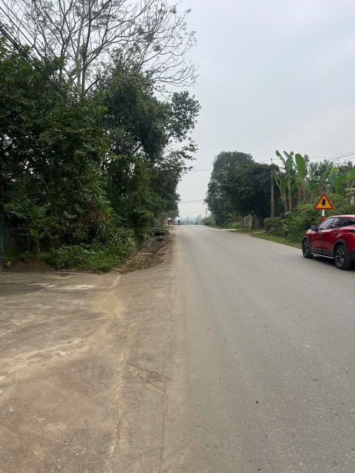 Đất thổ cư Hợp Thắng, Triệu Sơn 135m² giá 800 triệu - Đầu tư sinh lời ngay!