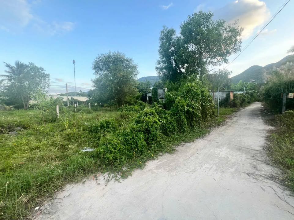 Đất nền đẹp tại phường Phước Đồng, Nha Trang 85m² giá 1.9 tỷ - Cơ hội đầu tư hấp dẫn!