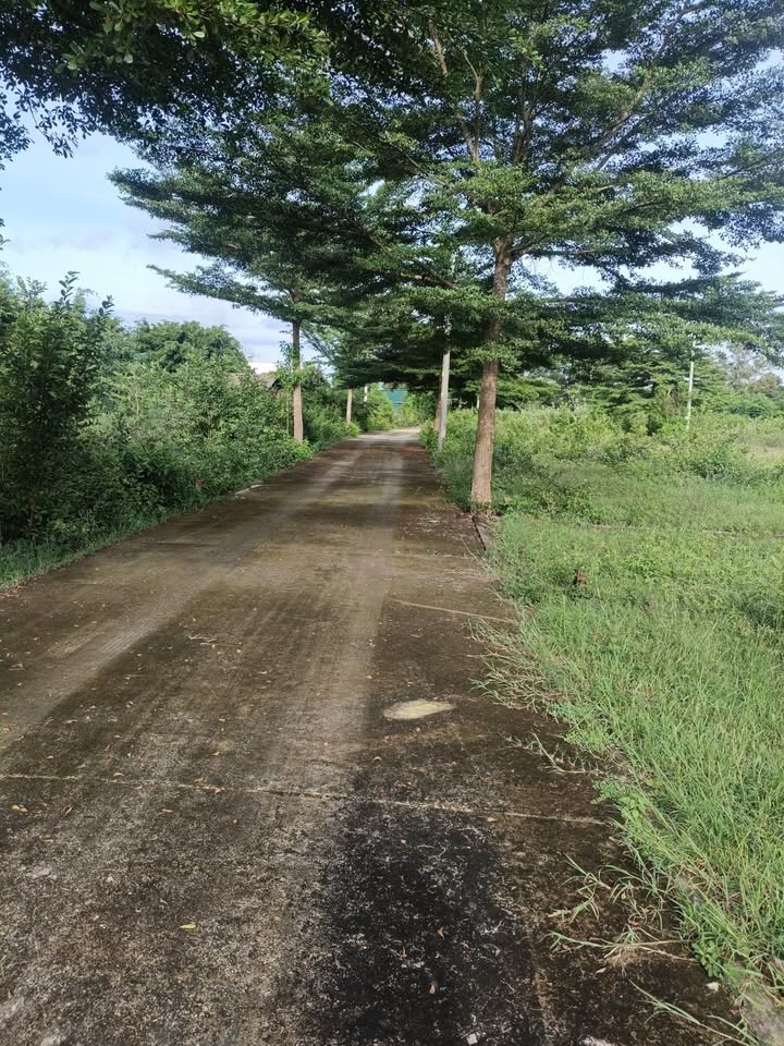 Đất nền Diên Lạc, Diên Khánh 104m² giá chỉ 690 triệu - Đầu tư sinh lời tốt!