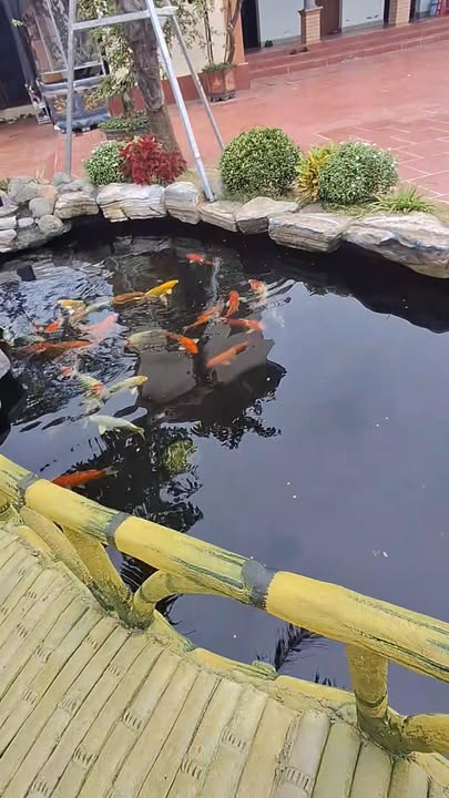 Đất thổ cư 123m² xã Xuân Mai - Giá đầu tư hấp dẫn chỉ 2.47 tỷ!