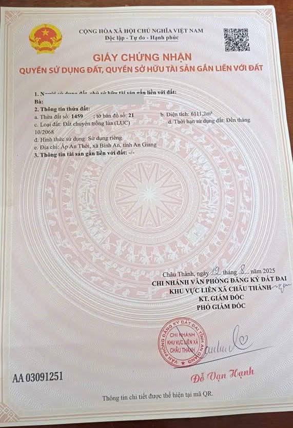 Đất lúa 6100m² ấp An Thới, xã Bình An - Cơ hội đầu tư hấp dẫn!
