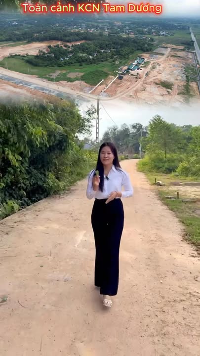 Đất nền Hướng Đạo, Tam Dương 120m² giá 1 tỷ - Cơ hội đầu tư hấp dẫn!