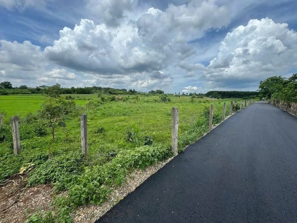 Đất nền Hòa Long, TP Bà Rịa 1200m² giá chỉ 2 tỷ - Cơ hội đầu tư hiếm có!