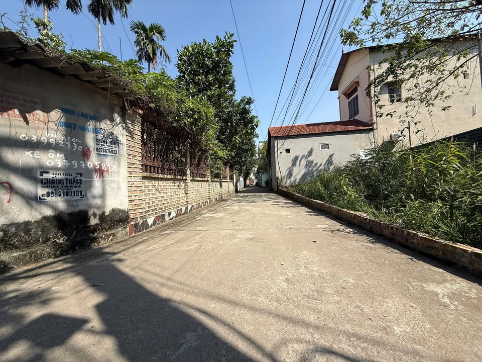 Lô đất Ngải Dương, Như Quỳnh 72m² giá 3 tỷ - Nở hậu phong thủy, kinh doanh thuận lợi!