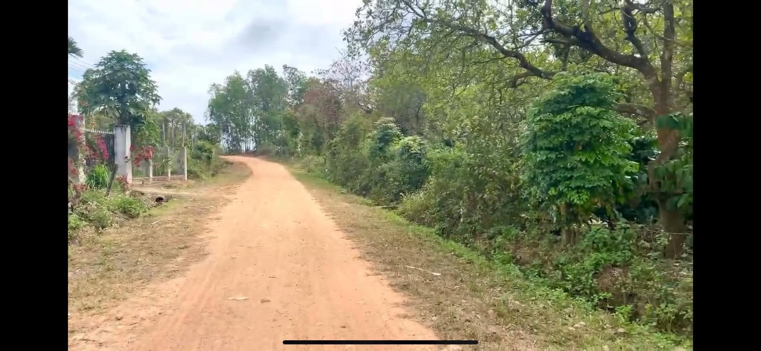 Đất nền Cư Ni Ea Kar 1000m² giá 269 triệu - Sổ đỏ chính chủ