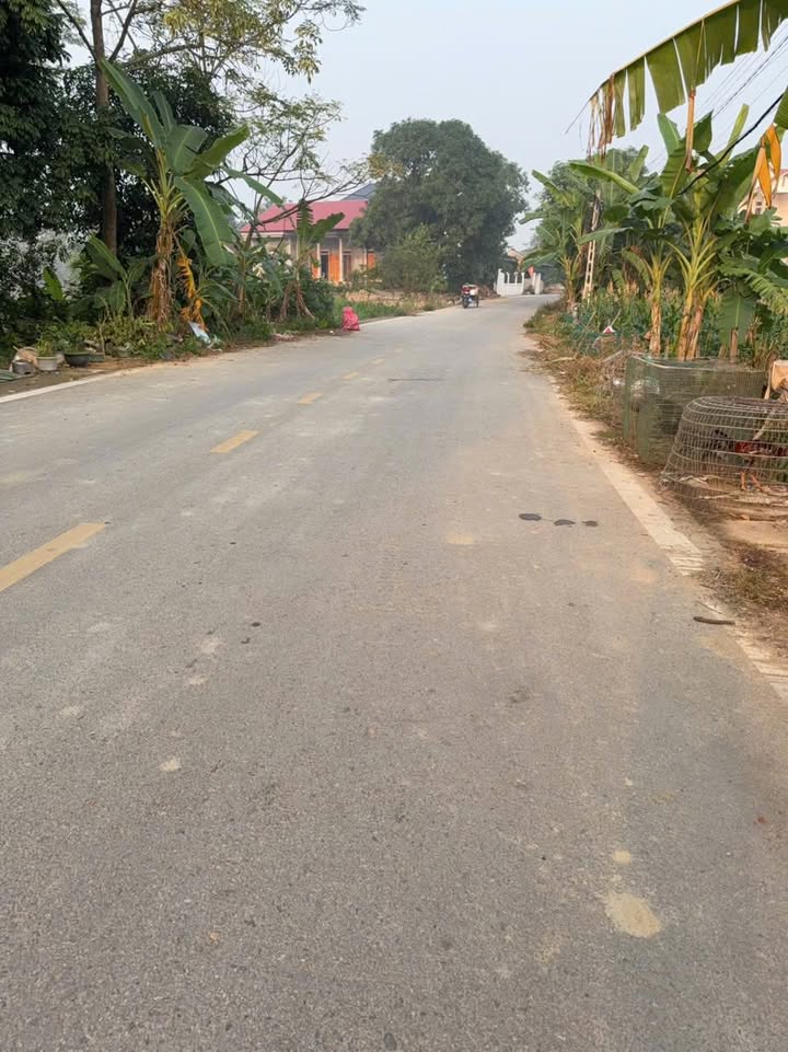 Đất nền Tam Sơn, Lập Thạch, 100m² giá 1 tỷ - Sổ đỏ chính chủ, đầu tư sinh lời!