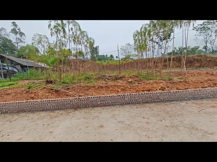 Đất nền Xuân Áng Hạ Hòa 930m² giá 950 triệu - Tặng 2 chỉ vàng 9999!