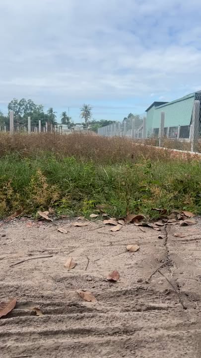 Lô đất 210m² tại xã Long Chữ, Tây Ninh chỉ 350 triệu - Cơ hội đầu tư tuyệt vời!