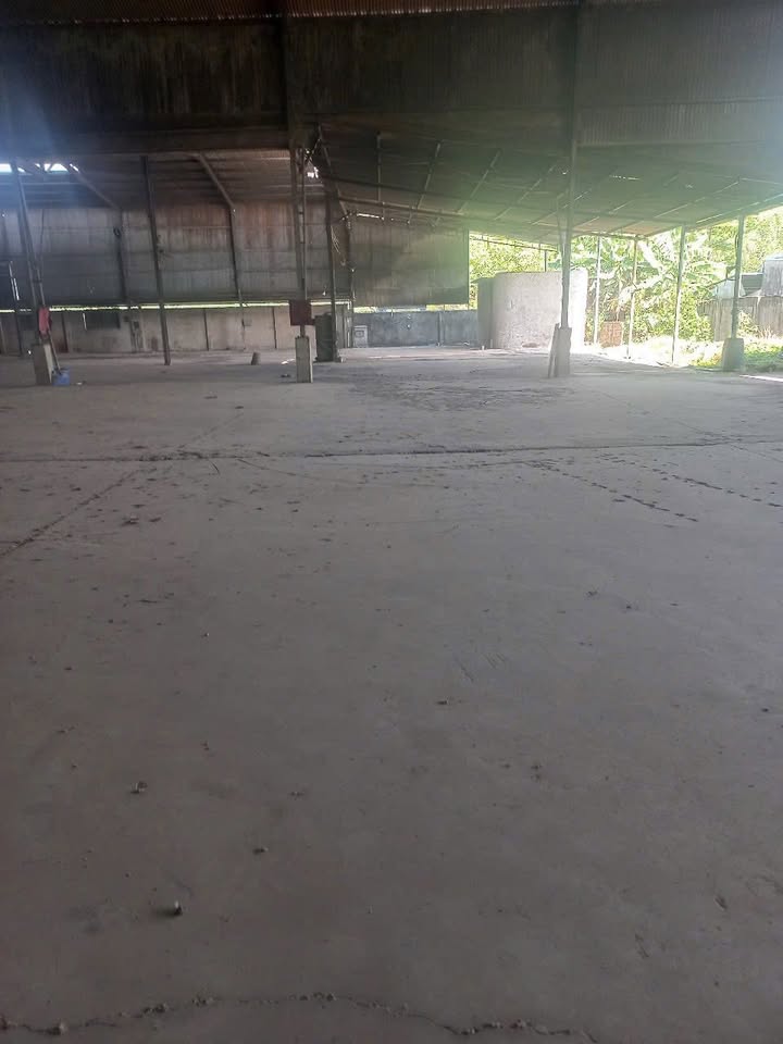 Xưởng cho thuê Trảng Bom 160m² giá 5.5 triệu - Mặt tiền đường 767 thuận lợi!