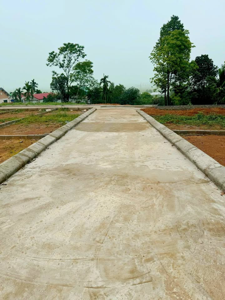 Đất nền Đại Nghĩa 50m² giá chỉ 700 triệu - Cơ hội đầu tư hiếm có!