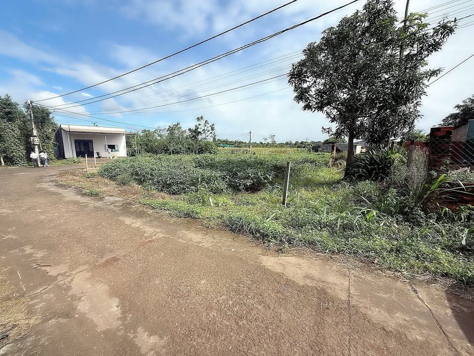 Đất nền Ea Kao 500m² giá 1.75 tỷ - Cơ hội đầu tư hấp dẫn!