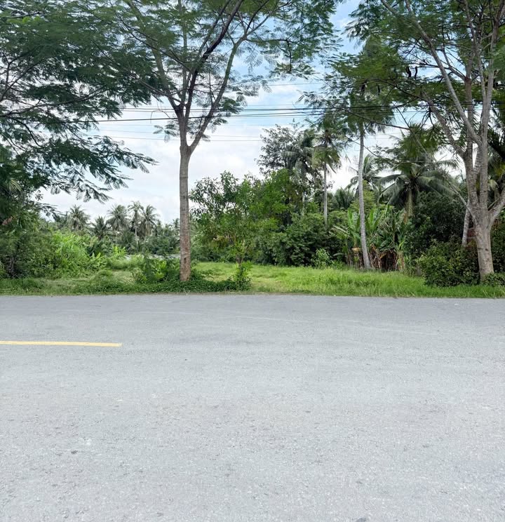 Đất nền Phong Nẫm Giồng Trôm 2099m² giá 9.025 tỷ - Đất vuông vức, quy hoạch rõ ràng!