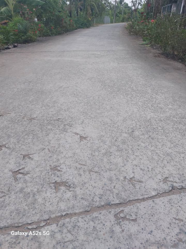 Đất nền kinh doanh tại Cái Nhum, Vĩnh Long 708.8m² giá 1.9 tỷ - Đầu tư sinh lời ngay!