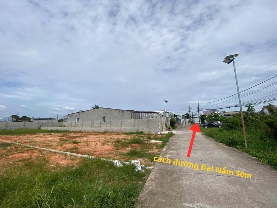 Đất nền mặt tiền đường Cây Thị, xã Phong Nẫm, 223m² giá 1.7 tỷ - Vị trí đẹp, đầu tư sinh lời!