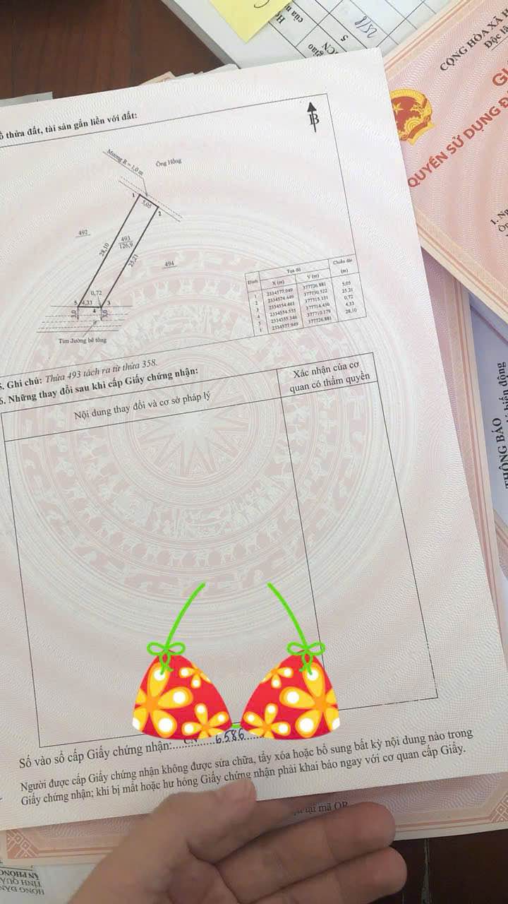 Đất nền Trại Thông - Bình Khê 126,9m² giá chỉ 500 triệu - Cơ hội đầu tư tuyệt vời!