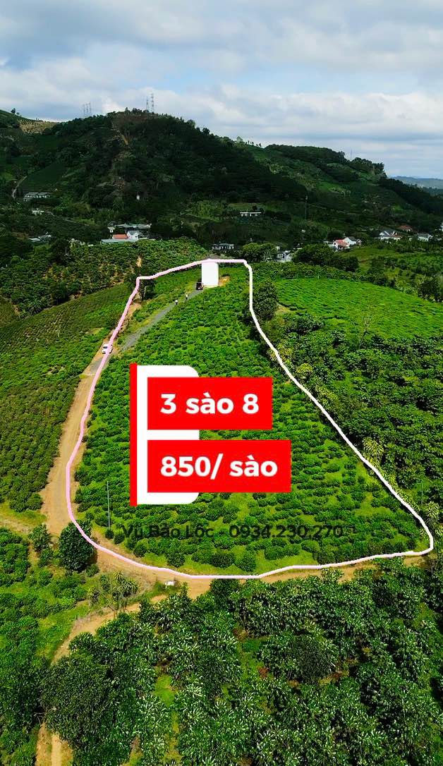 Đất nền 3.800m² hẻm Hàm Nghi, Bảo Lộc, Lâm Đồng - View đẹp, giá tốt!