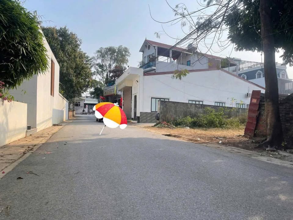 Đất thổ cư Liên Bảo Vĩnh Yên 169m² giá 3 tỷ - Kinh doanh nhỏ lẻ lý tưởng!