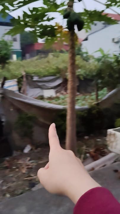 Đất nền Phúc Yên 412m² giá 2.884 tỷ - Vị trí đắc địa, ô tô vào tận đất!