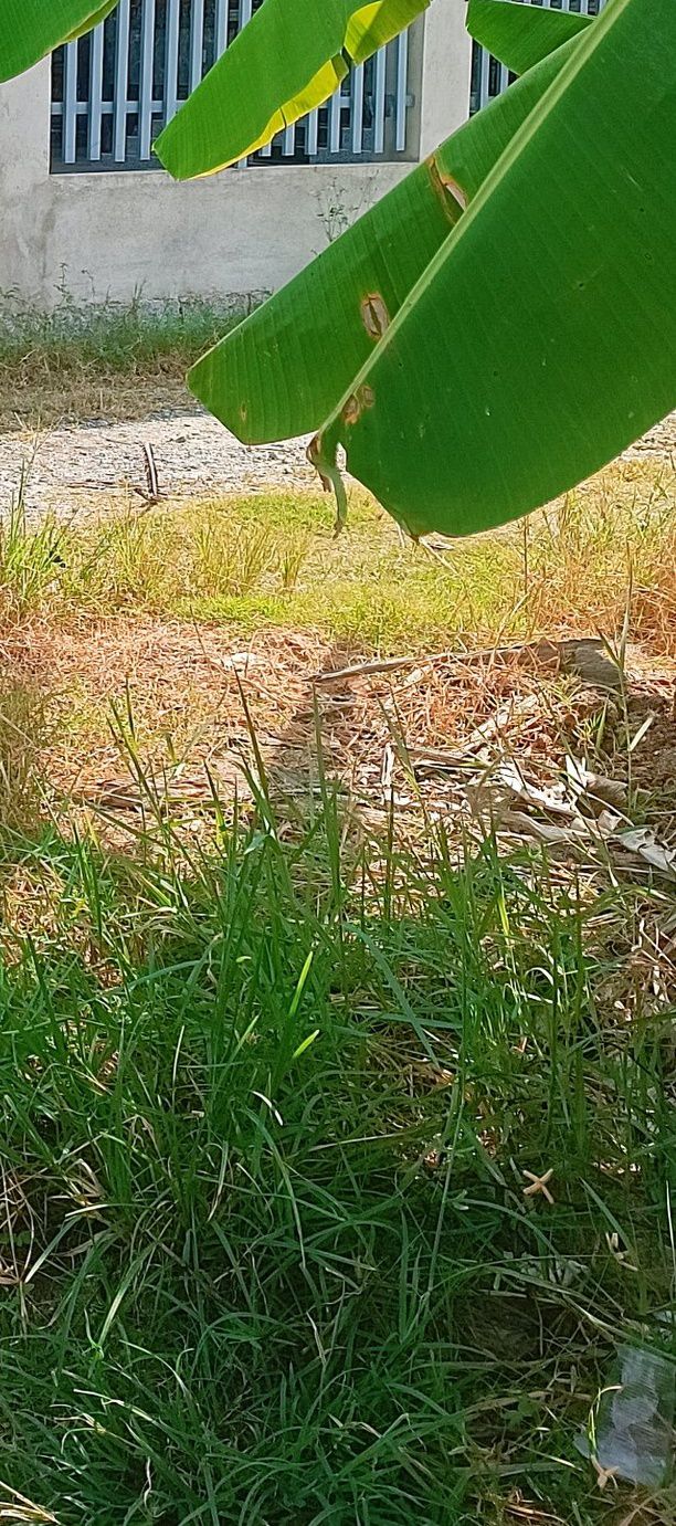 Đất thổ cư xã Suối Cát, huyện Cam Lâm 818m² giá 3 tỷ - Đầu tư sinh lời cao!