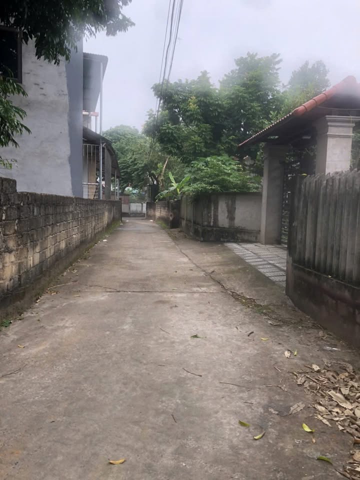 Đất liền kề FO Khu Phú Hậu, Nông Trang, 100m² giá 1 tỷ - Đầu tư sinh lời hấp dẫn!