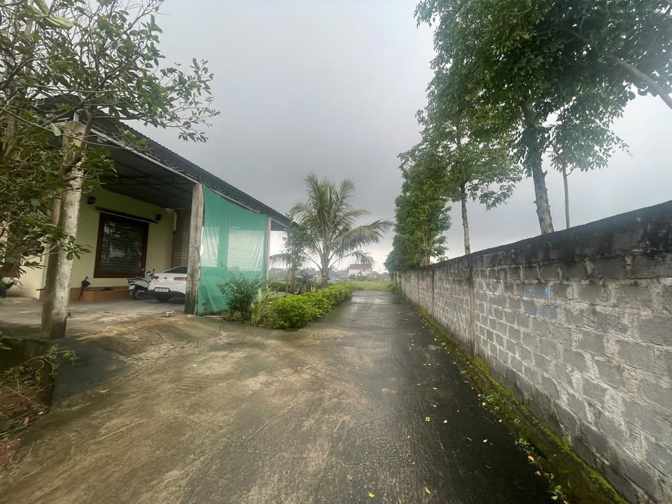 Đất nền thôn 10, Lý Trạch 300m² giá 1.3 tỷ - Đầu tư sinh lời ngay!