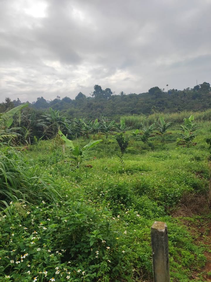 Đất nền thổ cư 132m² tại Lộc An, Bảo Lâm, chỉ 2 tỷ - Đầu tư sinh lời ngay!