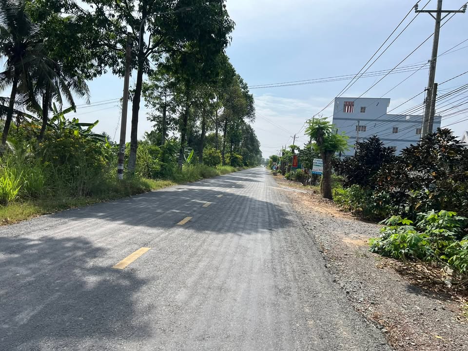 Nhà vườn Long An 2926m² giá 6,7 tỷ - Đầu tư sinh lời ngay!