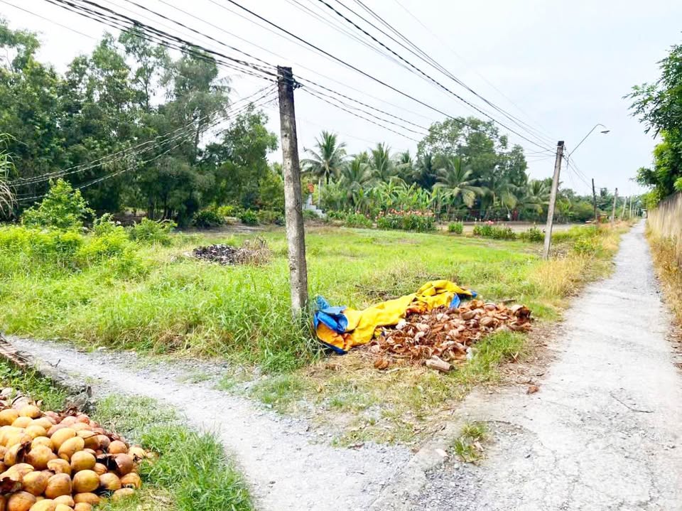 Đất vườn 1250m² tại Ấp Chánh Long Hiệp, Bến Lức - Giá chỉ 1.1 tỷ, thương lượng nhẹ!