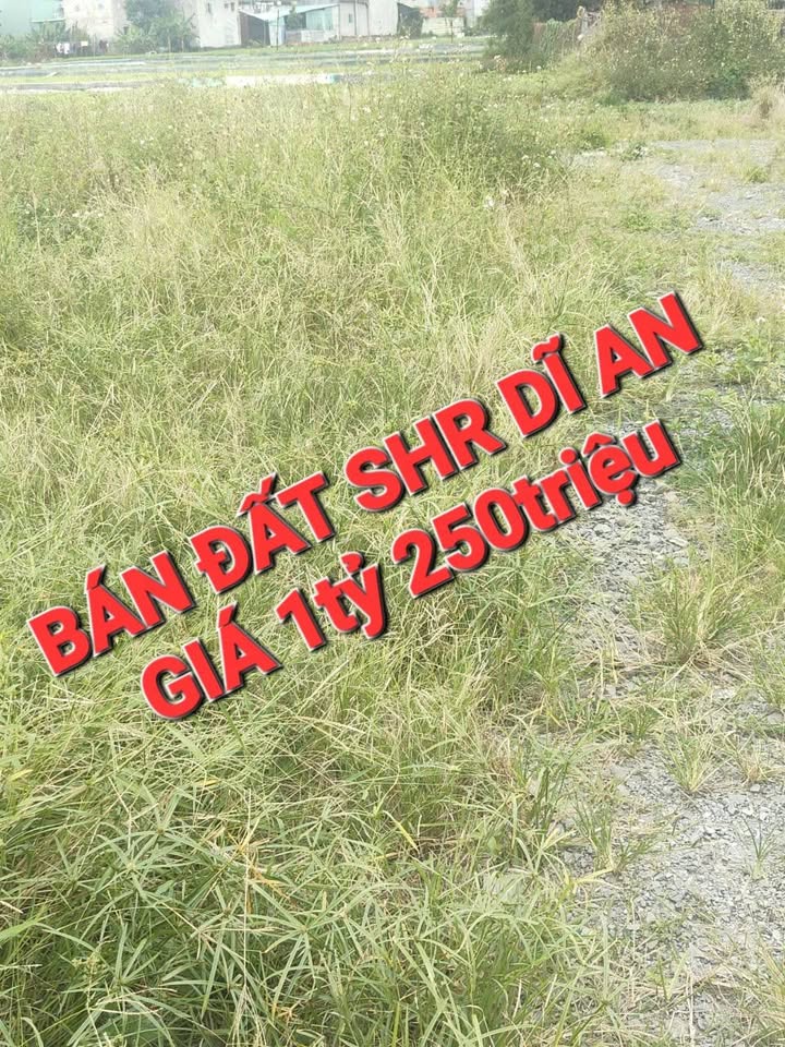 Bán đất Tân Bình, Dĩ An 90m² giá 1.25 tỷ - Sổ hồng riêng, xây dựng ngay!