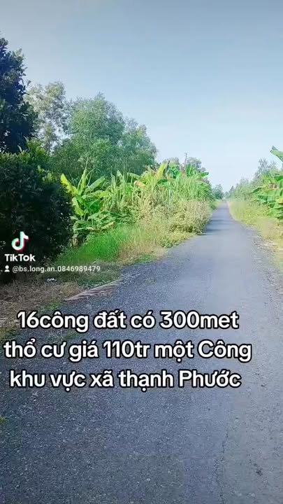 Đất thổ cư 16 công tại xã Thạnh Phước, huyện Thạnh Hóa, giá 1.76 tỷ - Cơ hội đầu tư hấp dẫn!