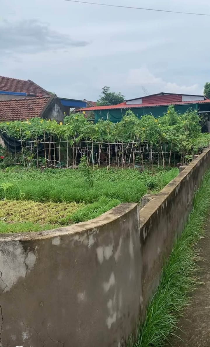 Đất nền xóm 7, xã Nghĩa Trung, 245m² giá 1.3 tỷ - Hướng Nam, ô tô vào được!