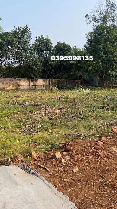 Đất nền Đồng Trung, Thanh Thủy 506m² giá 1.3 tỷ - Cao ráo, thoáng mát, an ninh tốt!