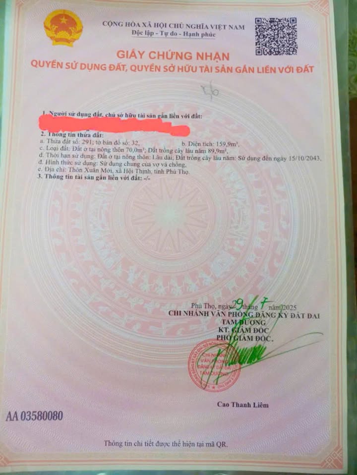 Đất thổ cư 150m² tại Thanh Vân, Tam Dương - Đường ô tô tránh nhau, giá chỉ 1.5 tỷ!