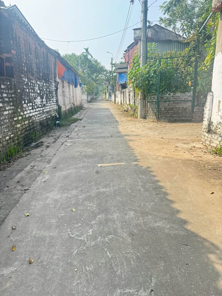 Đất nền Liên Châu, Thanh Ba, Phú Thọ 85m² giá 800 triệu - Đường ô tô vào tận nơi!