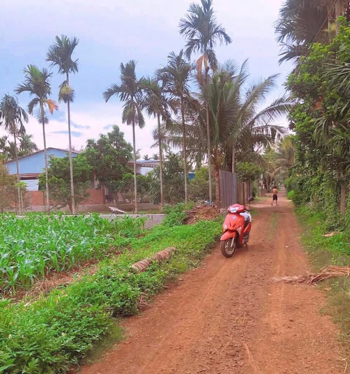 Đất nền thổ cư 150m² tại thôn 3, xã Ea Ktur, Đắk Lắk - Chỉ 540 triệu!