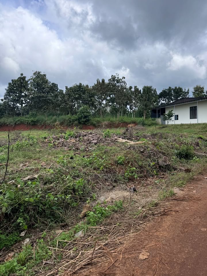 Đất nền 360m² tại Quảng Hiệp, Cư M'gar - Giá chỉ 330 triệu - Cơ hội vàng đầu tư!