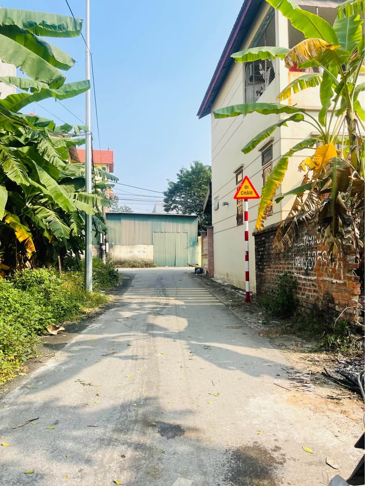 Đất nền 129m² tại đường Lai Sơn, Vĩnh Yên giá 2 tỷ - Vị trí đẹp, hàng xóm thân thiện!