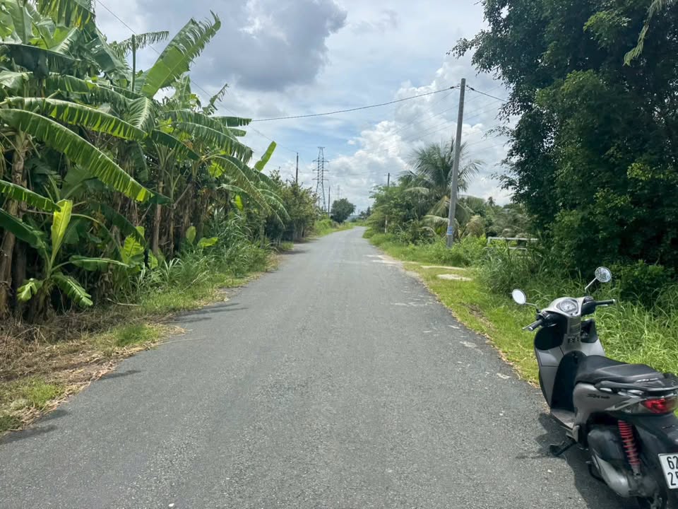 Đất nền 3.170m² mặt tiền kênh Đỗ Văn Giàu, Tân An, Long An - Giá 5.23 tỷ, đầu tư sinh lời!